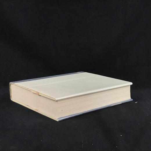 华盛顿国家画廊图集（1975） 1135幅插图（1035幅彩色） 精装大16开 商品图2