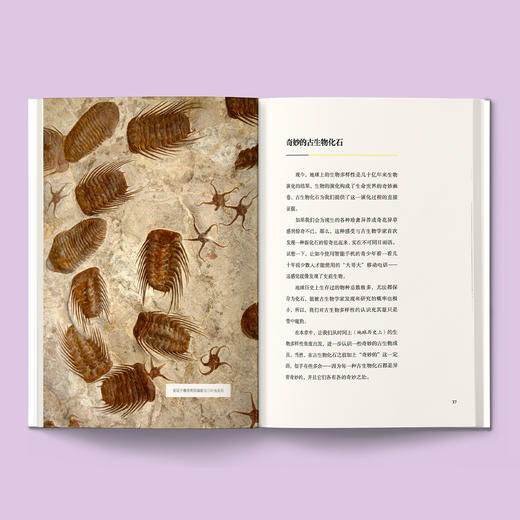 “苗德岁写给孩子的自然科学”3册套装：《人类进化》《生态家园》《奇妙生物》 商品图4