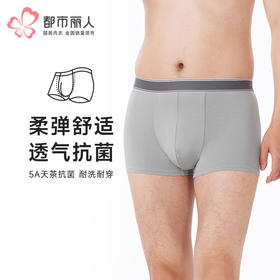 都市丽人都市锋尚内裤简约基础平角裤40S人棉男士内裤FKTGA1