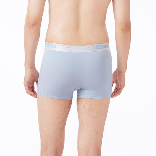 都市丽人都市锋尚内裤简约基础平角裤莫莱卡男士内裤FKTCF5 商品图3