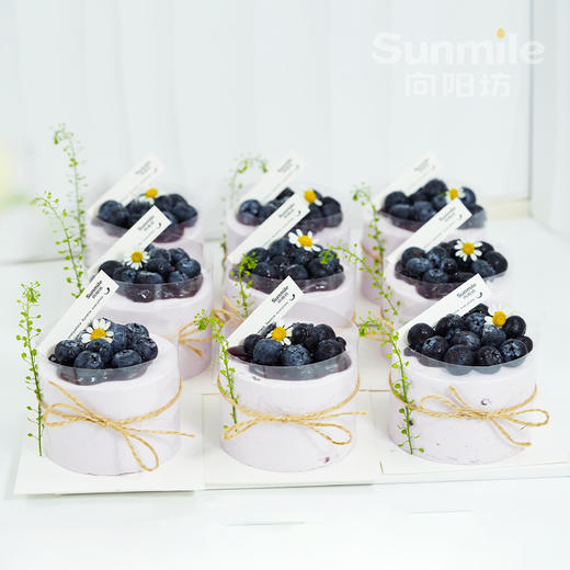 蓝莓小蛋糕（3号） 商品图0
