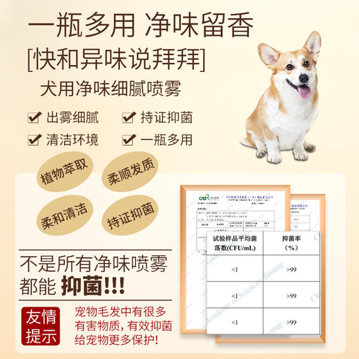 byay狗狗净味除臭剂1瓶 商品图4