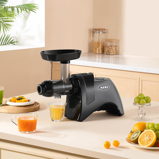 厂家直发-Omega Juicers 欧美爵士 多功能慢磨榨汁机原汁机J9229i系列 商品图2