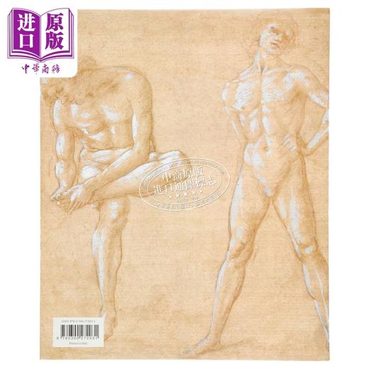 【中商原版】Botticelli Drawings 进口艺术 波提切利素描 Yale出版 个人艺术家专著 艺术史 商品图2