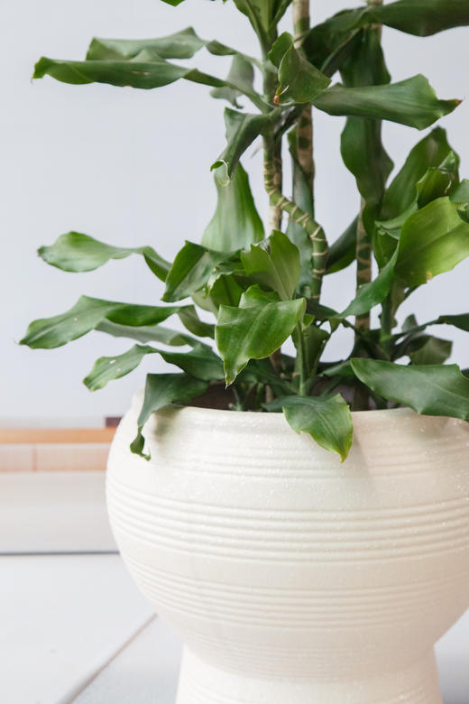 螺纹铁 商品图1