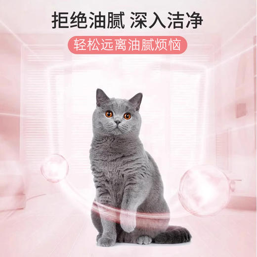 宠德奇去油酶 猫咪去油脂黑尾巴黑下巴 商品图2