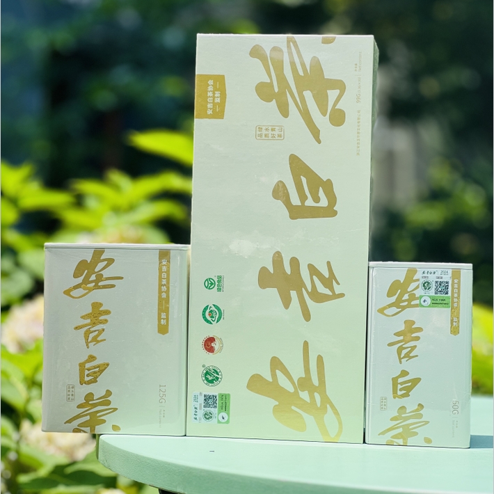 头采安吉白茶|安吉白茶，奶白茶，茶中含有淡淡的奶香味，冲泡后茶汤透亮，滋味鲜爽甘甜，来自安吉核昆铜核心产区1500亩，鲜叶从采摘到成品，全流程绿色生产，品质严选！