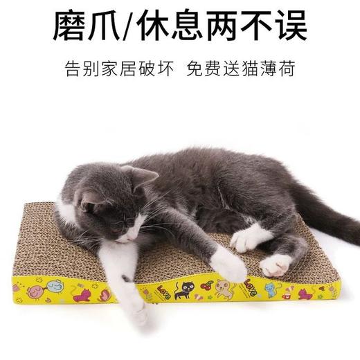 趣味形猫抓板（内附1袋猫薄荷） 5个/组（无条码） 商品图2