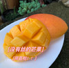 【云南】元江小金凤芒果（3斤/5斤/8斤彩箱） 商品缩略图2