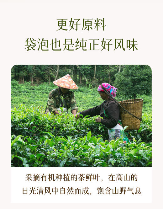 趣品 | 149元3盒原叶袋泡茶 | 芒摆庄园有机茶 商品图10