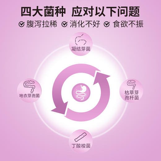 BYAY胃肠康益生菌粉宠物营养补充剂 商品图1