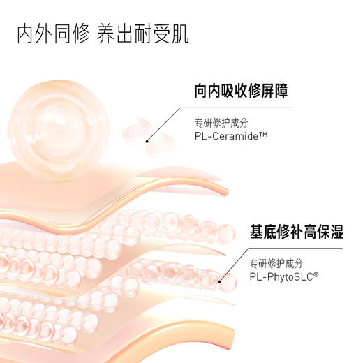 毕生之研屏障修护乳液|内外双向调理，长效保湿滋润，改善红敏肌 商品图4