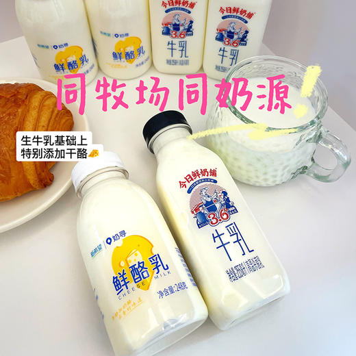 新希望今日鲜奶铺＆奶寻鲜酪乳纯牛奶早餐奶组合装 商品图3
