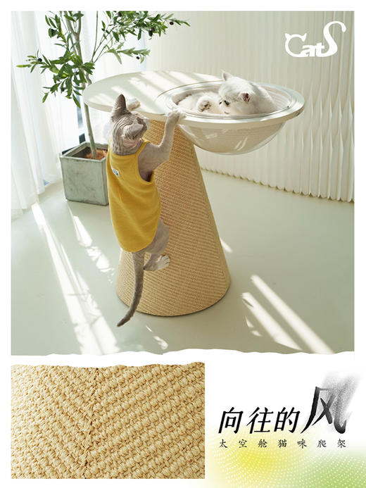 CatS猫家具 向往的风系列猫抓柱猫爬架 进口耐磨不掉屑剑麻太空舱 商品图0