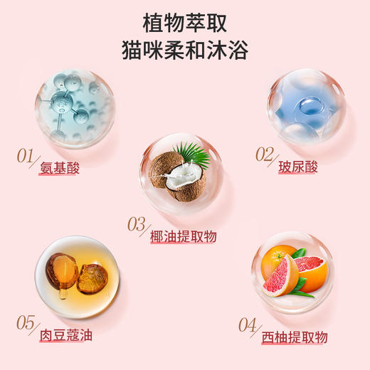 宠德奇猫咪香波沐浴露清洁美毛祛油护毛 商品图3