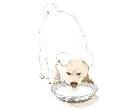 马克的完美计划+忠犬八公 2册  魔法象 商品图2