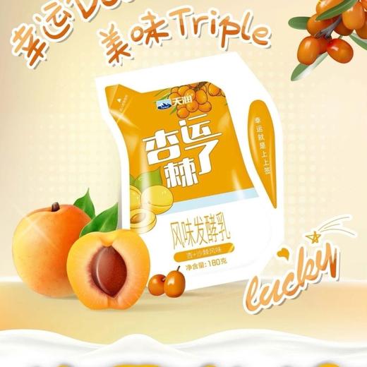 【近期新日期】天润酸奶  多口味混搭 爱克林包装 新疆酸奶  新疆美食产地直发 商品图4