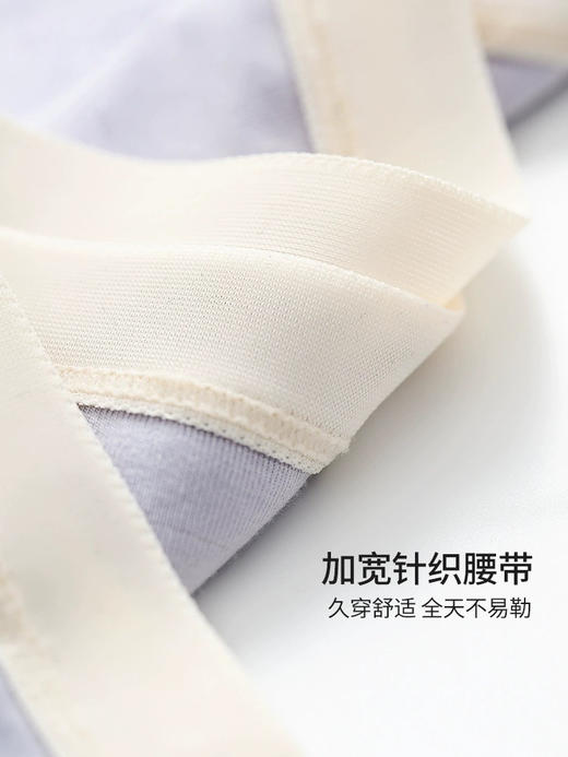 莫代尔聚乳酸底裆内裤52072 商品图5