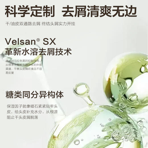 森之露（Seagilon）山茶籽控油去屑洗发露520ml 商品图4