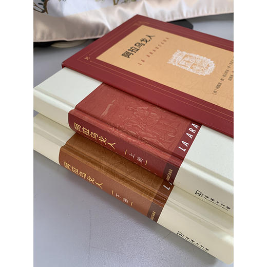 阿拉乌戈人(全两册) 商品图9