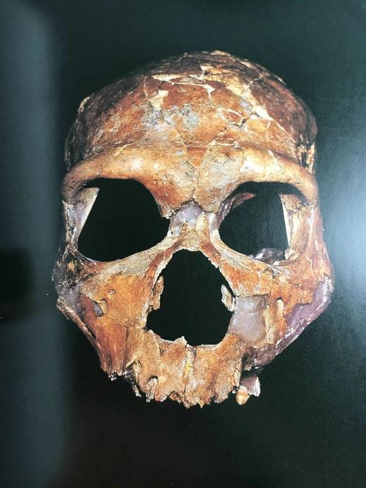 巴格达伊拉克博物馆之劫：古代美索不达米亚失落的遗产 190幅彩色插图 精装16开 商品图13