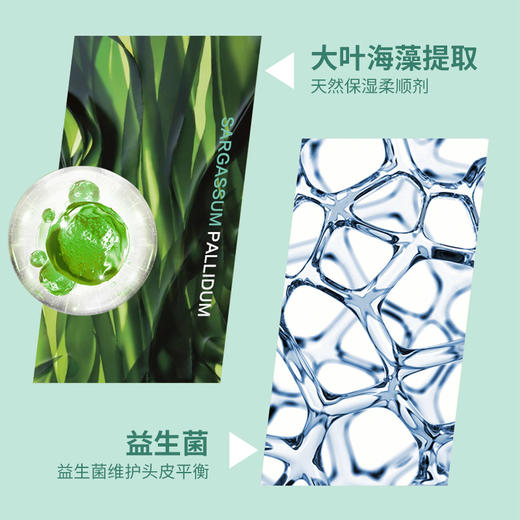 柏缇（POTE）海藻去屑舒缓洗发露 475ml 商品图3