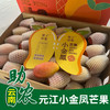 【云南】元江小金凤芒果（3斤/5斤/8斤彩箱） 商品缩略图0