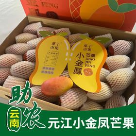 【云南】元江小金凤芒果（3斤/5斤/8斤彩箱）
