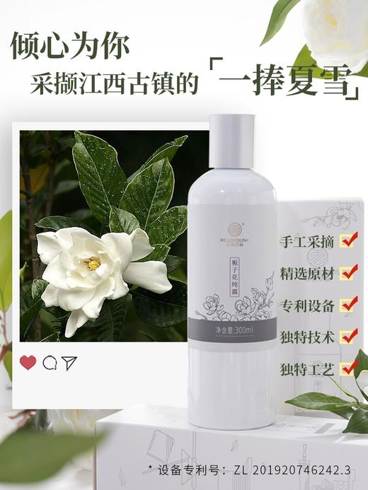 栀子花纯露 「单瓶」300ml 草本护肤 商品图3
