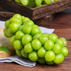【云南阳光玫瑰】EMS空运 云南高原 阳光玫瑰葡萄 脆甜无籽 香甜多汁 皮薄肉厚 一口爆汁 多种规格任选 商品缩略图6