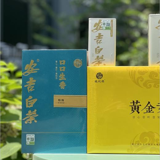 头采安吉白茶|安吉白茶，奶白茶，茶中含有淡淡的奶香味，冲泡后茶汤透亮，滋味鲜爽甘甜，来自安吉核昆铜核心产区1500亩，鲜叶从采摘到成品，全流程绿色生产，品质严选！ 商品图2