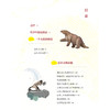 “苗德岁写给孩子的自然科学”3册套装：《人类进化》《生态家园》《奇妙生物》 商品缩略图5