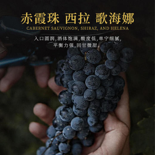 【法国伊尼特干红葡萄酒】法国原瓶原装进口，果香馥郁，口感柔和，带您感受微醺魅力。下单后72小时内发货 商品图4