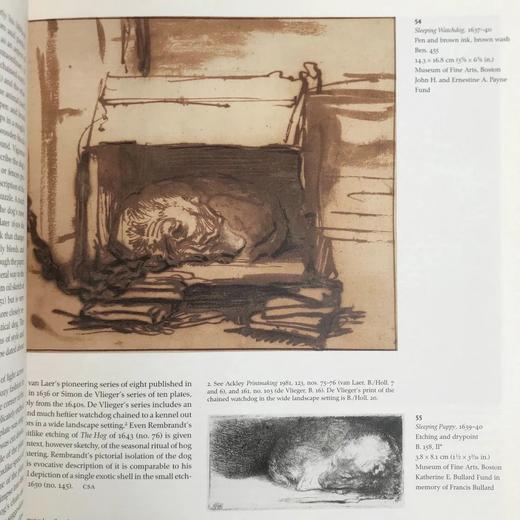 伦勃朗之旅（馆藏） 数百幅插图 精装16开 商品图12