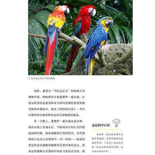 “苗德岁写给孩子的自然科学”3册套装：《人类进化》《生态家园》《奇妙生物》 商品图10