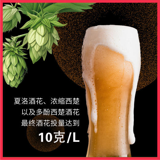 Reberg莱宝精酿鲜啤双重奏浑浊IPA啤酒460ml国产当日现灌 商品图1