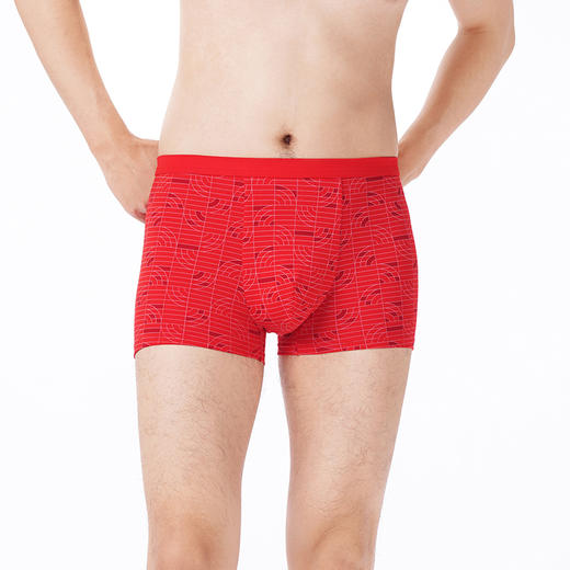 都市丽人都市锋尚内裤日常休闲平角裤50S棉拉架男士内裤FKTCE2 商品图1