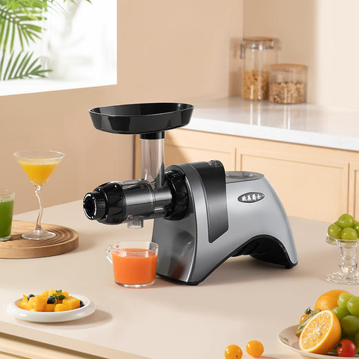 厂家直发-Omega Juicers 欧美爵士 多功能慢磨榨汁机原汁机J9229i系列 商品图1