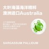 柏缇（POTE）海藻维生素E护发素 475ml 商品缩略图2