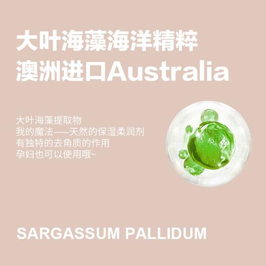 柏缇（POTE）海藻维生素E护发素 475ml 商品图2