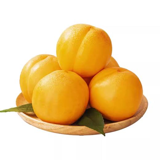 黄金蜜桃 | 水果 商品图0