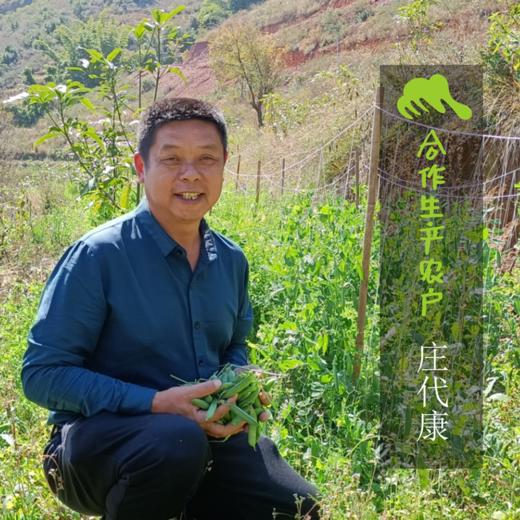 生态豌豆干  | 绿家自产 * Ecological dried pea| Self-production 商品图4