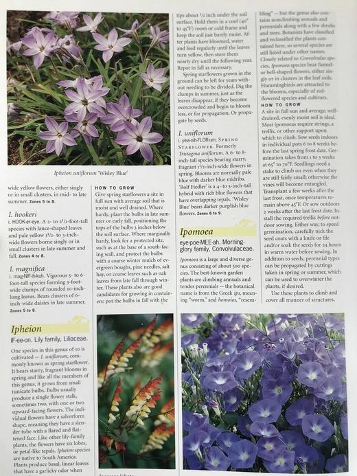 园林植物百科全书 数百幅彩色插图 精装大16开 商品图10