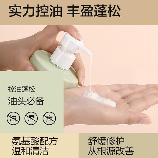 柏缇（POTE）北非雪松洗发露 475ml 商品图3