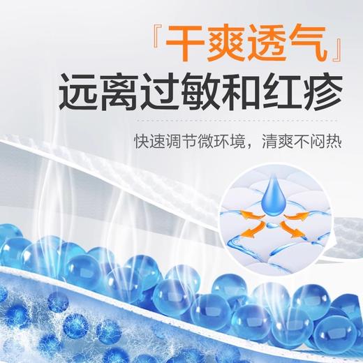 【吸收宝通用型拉拉裤 单包】内裤式成人拉拉裤大包装加量装S/M/L/XL 商品图3