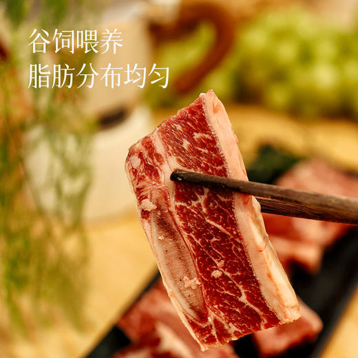 【预售3天左右】【精选级肥牛片和带骨牛小排】真正原切  拒绝合成 拒绝添加 回味有奶香味 涮火锅 做金汤肥牛/凉拌肥牛 ~ 商品图10