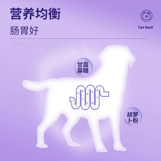 单袋 碧净雪狗粮 商品图5