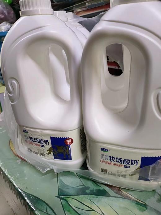 君乐宝大桶酸奶一桶 商品图0