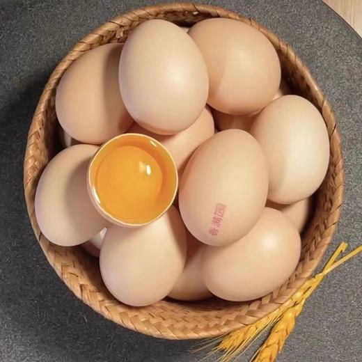 【物业甄选】香满园富硒鲜鸡蛋30枚/托（仅配送南宁） 商品图0