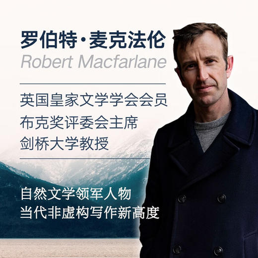 念念远山  一场地质时空之旅 罗伯特·麦克法伦行走文学三部曲 商品图3